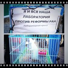 Академическая защита | Кино | ОТР - Общественное Телевидение России