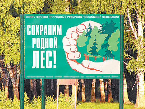 Зеленые