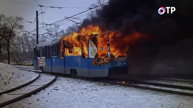 Герои спорта – герои в жизни. В Хабаровске боксеры сборной Дагестана спасли 30 человек из горящего трамвая | Программы | ОТР - Общественное Телевидение России