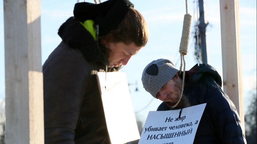 Акцизы на вредные продукты | Программы | ОТР - Общественное Телевидение России Фото: Павел Смертин/ТАСС