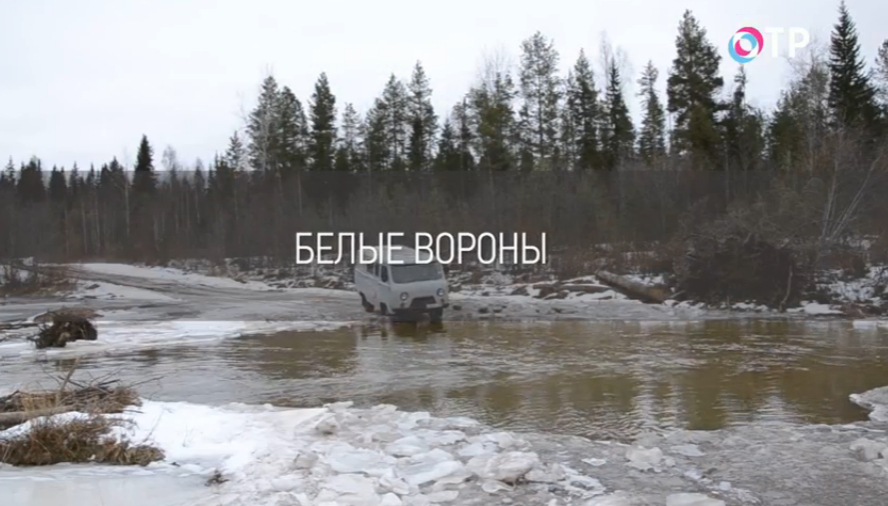 Любовь Четина – Нина Моторя: белые вороны | Программы | ОТР - Общественное Телевидение России
