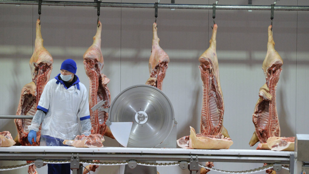 Качество мясной продукции, финансовая грамотность, стимулы к труду, Международный день музеев, Томск: гособлигации | Программы | ОТР - Общественное Телевидение России