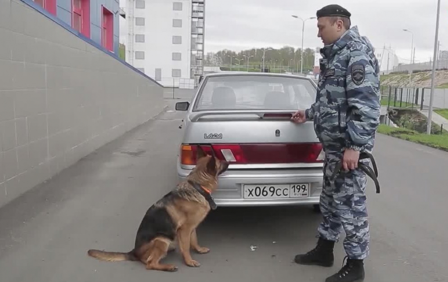 23 октября: 30 лет столичному ОМОНу, день рождения театрального института им. Щукина и короля футбола Пеле | Программы | ОТР - Общественное Телевидение России