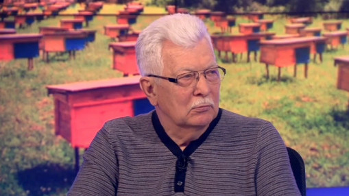 Александр Пономарев: Такой пчеловодческой базы, как у нас, больше нет нигде в мире. При этом импорт меда - смехотворный | Программы | ОТР - Общественное Телевидение России