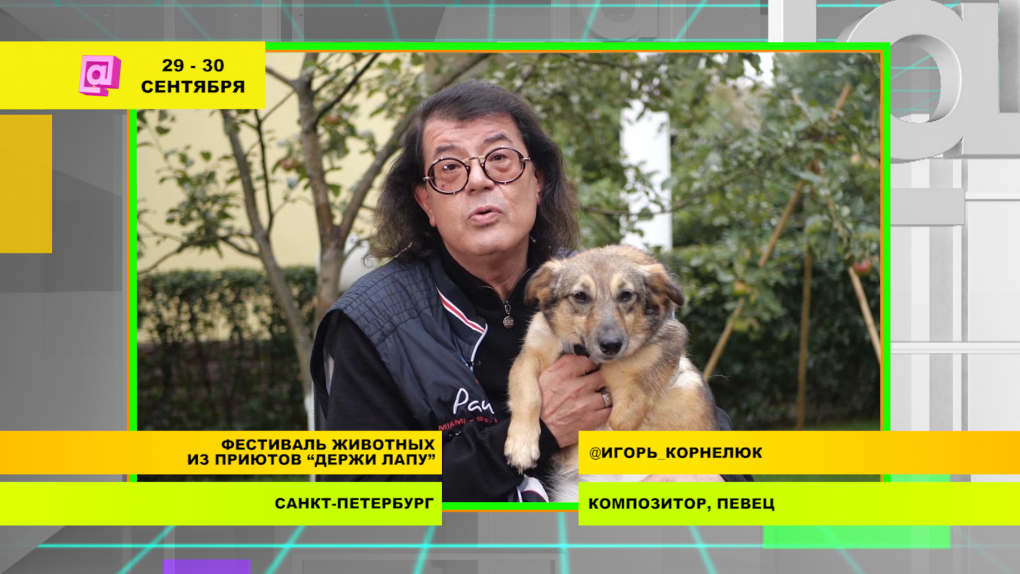 Билль о правах киборгов. Вебинары о взаимопонимании в семье. Игорь Корнелюк поддерживает фестиваль бездомных животных | Программы | ОТР - Общественное Телевидение России
