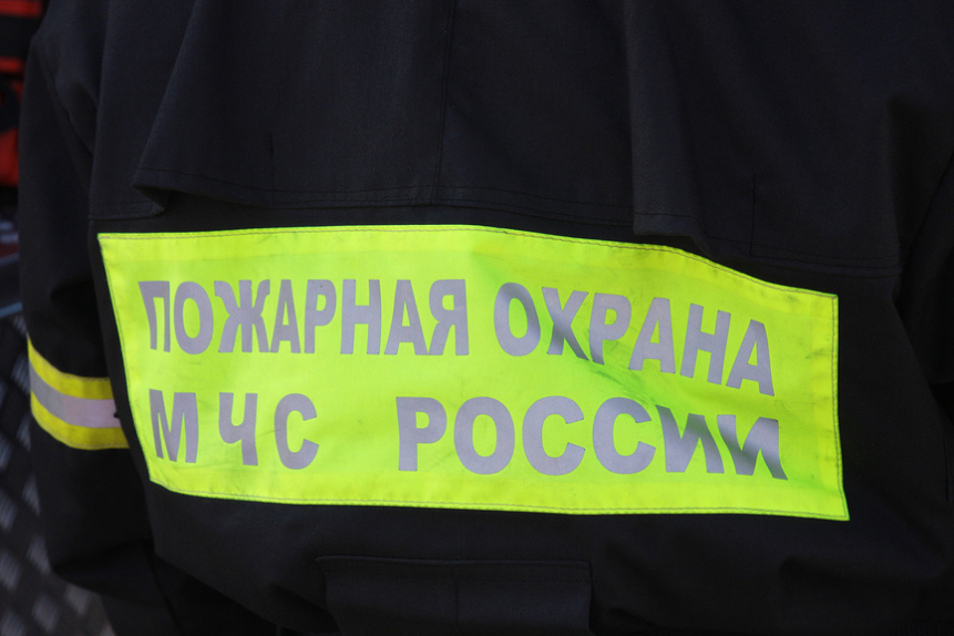 В Петербурге сорвано открытие фестиваля правозащитного кино | Новости | ОТР