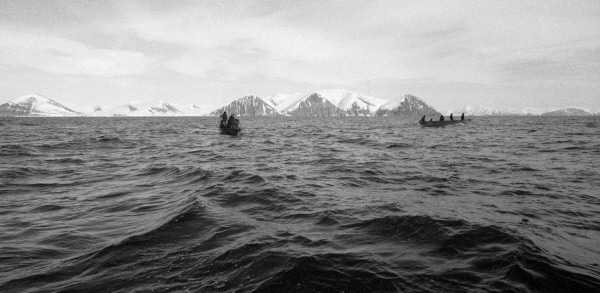 Песня от балтийский берегов до берингова. Берингово море банка Лебедева рыбалка. Рисунки к песни от балтийских берегов до Берингова моря.