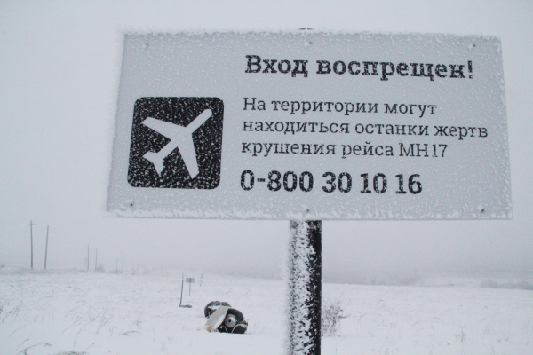 ОБСЕ: Работы на месте крушения Boeing под Донецком продолжаются | Новости | ОТР