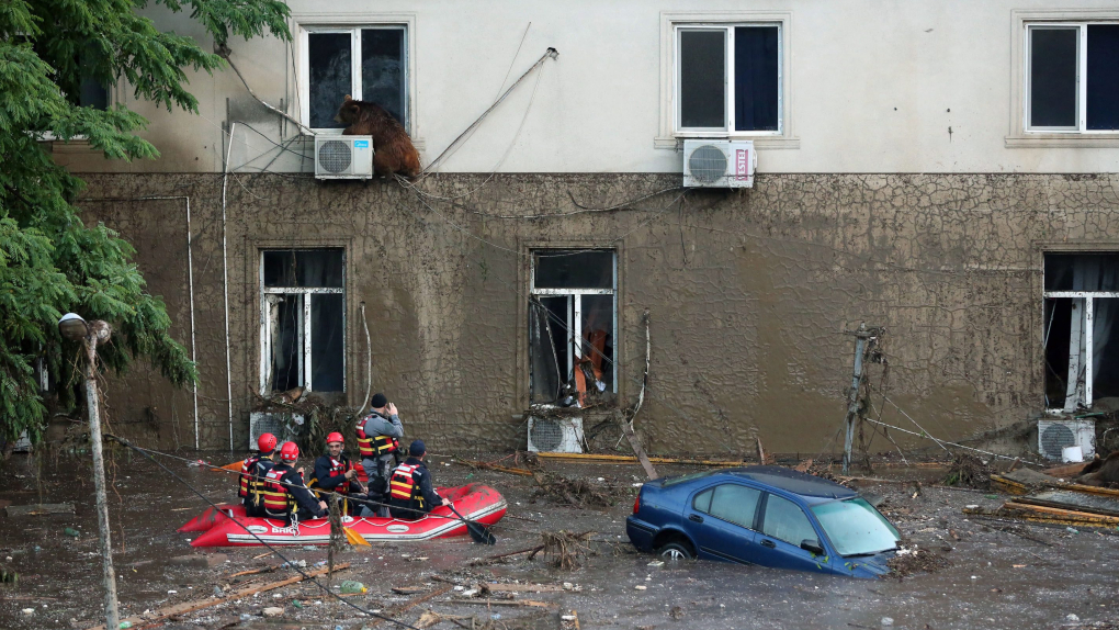 В результате наводнения в Тбилиси погибли 14 человек | Новости | ОТР