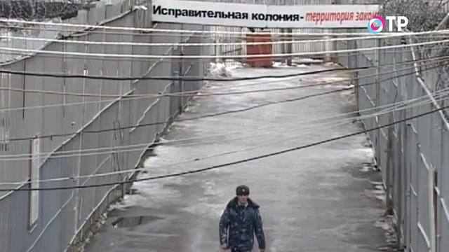 Капля в море. Эксперты рассказали, сколько человек может выйти по амнистии в честь 20-летия Конституции на свободу | Новости | ОТР