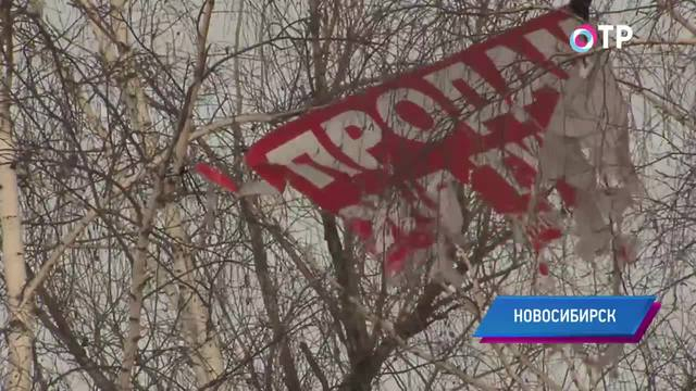 Лесу – быть. Жителям Новосибирска удалось отстоять единственную зеленую зону в микрорайоне | Новости | ОТР - Общественное Телевидение России
