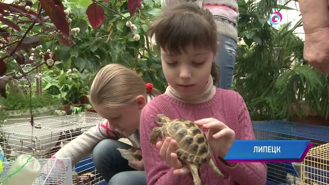 Жить как все. В Липецке родители детей-инвалидов создают новую общественную организацию | Новости | ОТР