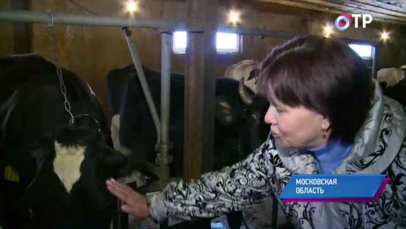 В Одинцовском районе Подмосковья осталось лишь одно фермерское хозяйство | Новости | ОТР - Общественное Телевидение России