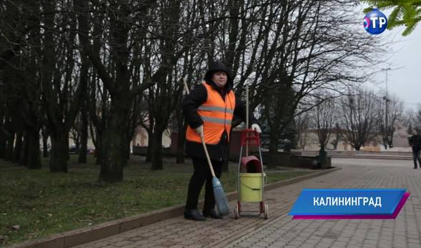 В Калининграде недостаток дворников: никто не хочет идти работать за 9 тысяч рублей в месяц | Новости | ОТР - Общественное Телевидение России