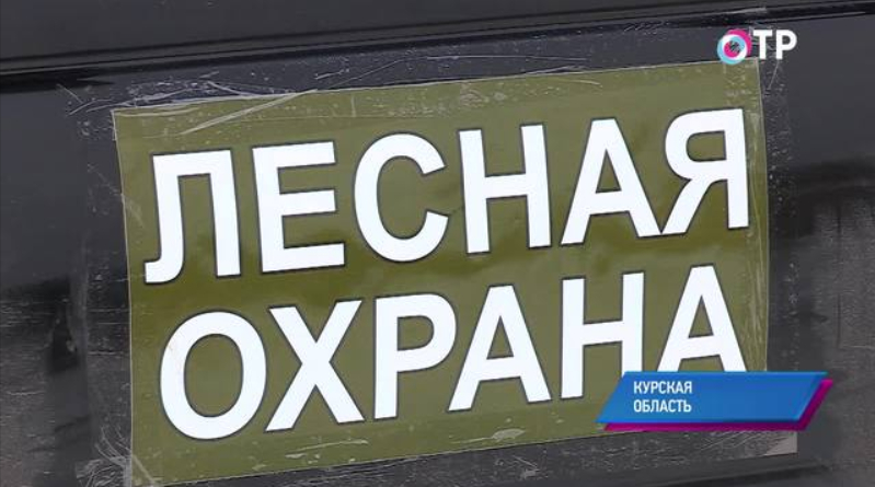 В Курской области казачьи патрули помогают лесникам охранять хвойные деревья | Новости | ОТР