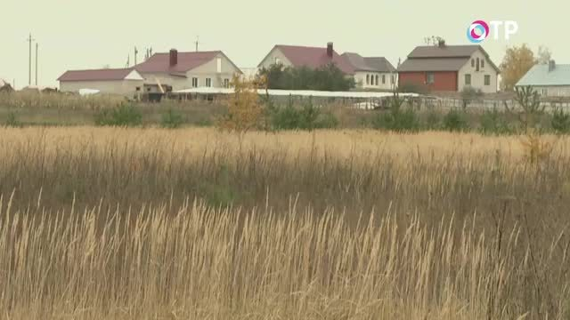 Отдам даром 2 гектара. Липецкие бизнесмены готовы предоставить свои земельные участки пострадавшим жителям ДФО | Новости | ОТР - Общественное Телевидение России