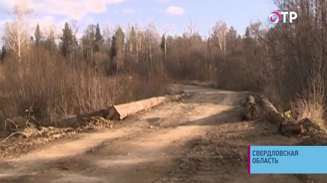 Дорога к знаниям как полоса препятствий. В Свердловской области дети не могут добраться до школы и живут у учителей | Новости | ОТР
