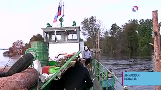 Фермерский бизнес на плаву. В Амурской области семья животноводов спасает скот на «ковчеге» | Новости | ОТР