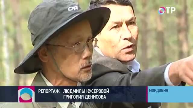 Следопыты из Японии. В Мордовии завершились поиски погибших во время ВОВ японских солдат | Новости | ОТР - Общественное Телевидение России