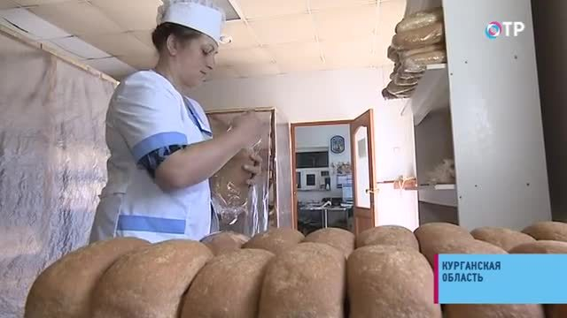 Жизнь на пустом месте. Около сотни казаков переселились в опустевшие хутора Курганской области | Новости | ОТР