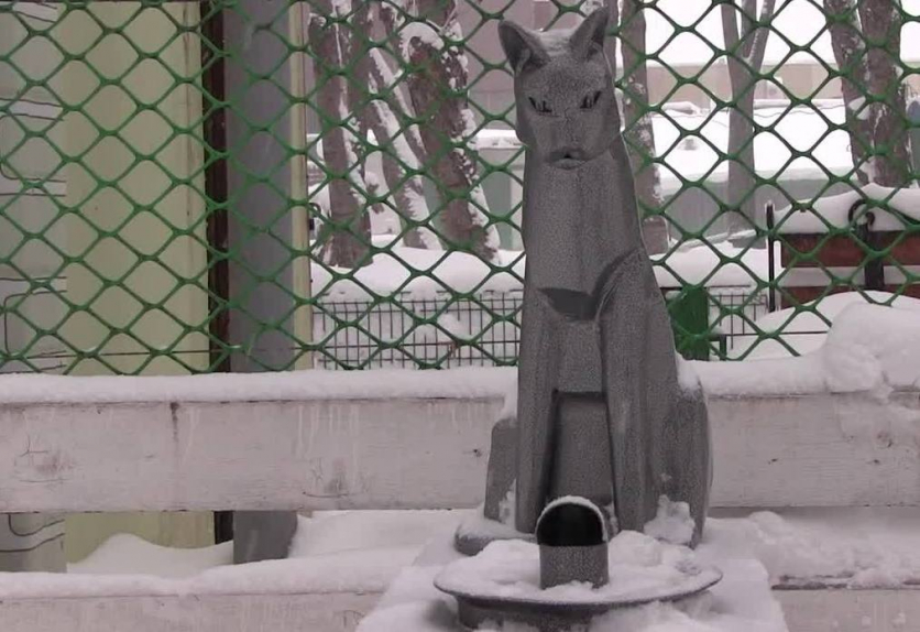 В Перми зоозащитники открыли памятник бездомному коту | Новости | ОТР