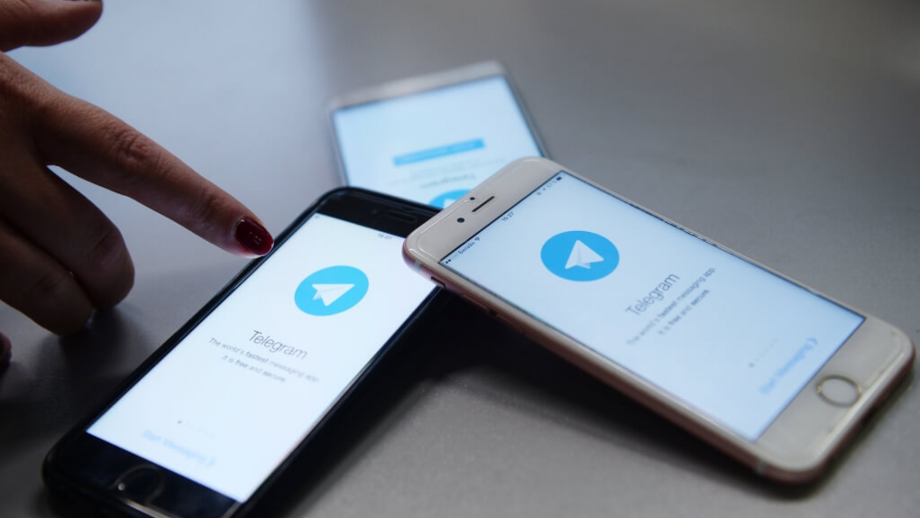 Роскомнадзор внесет Telegram в реестр распространителей информации | Новости | ОТР