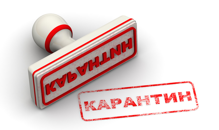 Две школы в Иваново закрылись на карантин по кори | Новости | ОТР