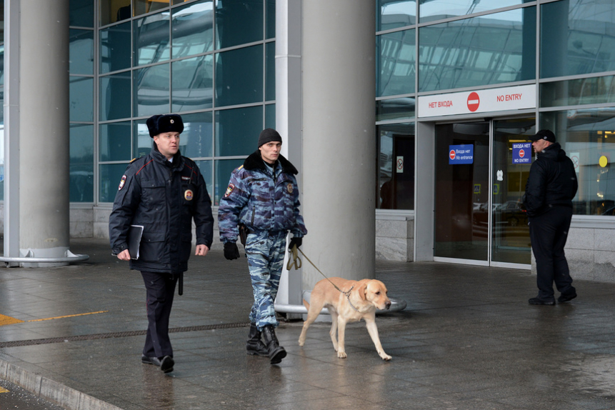 Лу аэропорта шереметьево. Полиция в аэропорту Шереметьево. Кинологи в аэропорту Внуково.