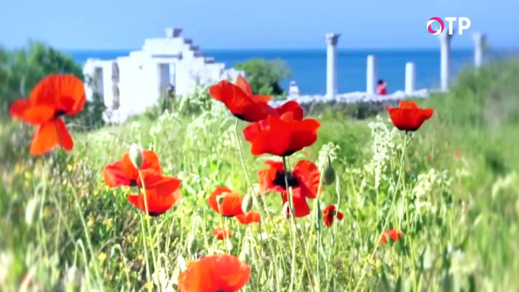 Кадр из фильма «Легенды Крыма. Курортный рай»