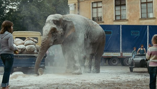 Кадр из фильма «Слон»