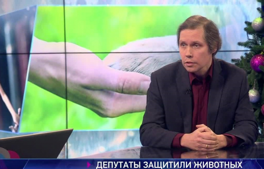 Кирилл Горячев: Контактные зоопарки предлагают за деньги суррогат любви. Они наносят моральный вред и питомцам, и посетителям | Программы | ОТР - Общественное Телевидение России