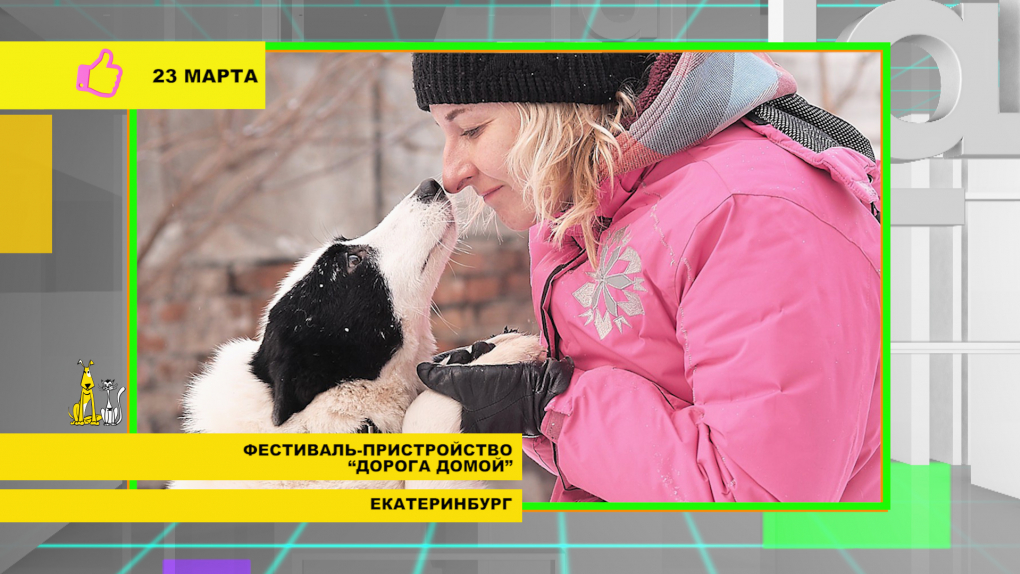 Для кого в Екатеринбурге открывается «Дорога домой»? Зачем чемпионка мира по прыжкам в воду собирает мелочь? | Программы | ОТР - Общественное Телевидение России