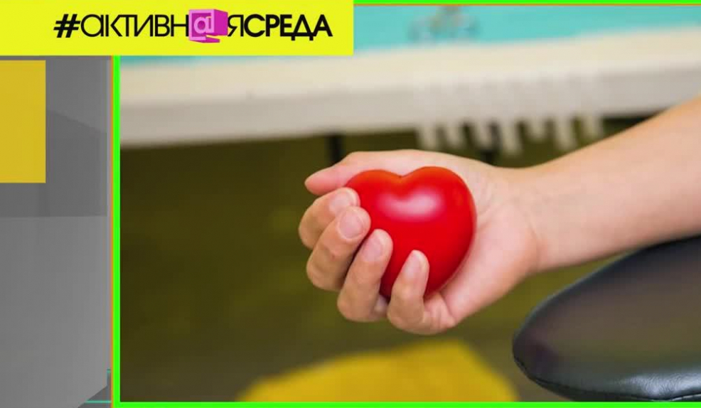 Как забег спасает животных? Почему быть донором модно? | Программы | ОТР - Общественное Телевидение России