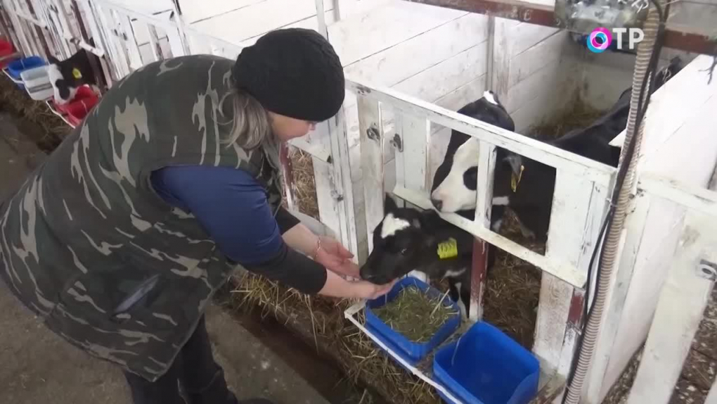 Иван Бунин «Матери». Читает Екатерина Фёдорова, животновод, село ...