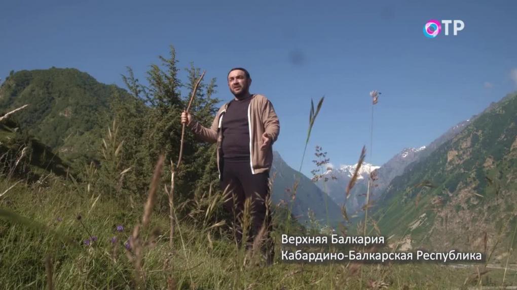 Кайсын Кулиев «Чабан». Читает Астемир Семёнов, пастух, Верхняя Балкария ...