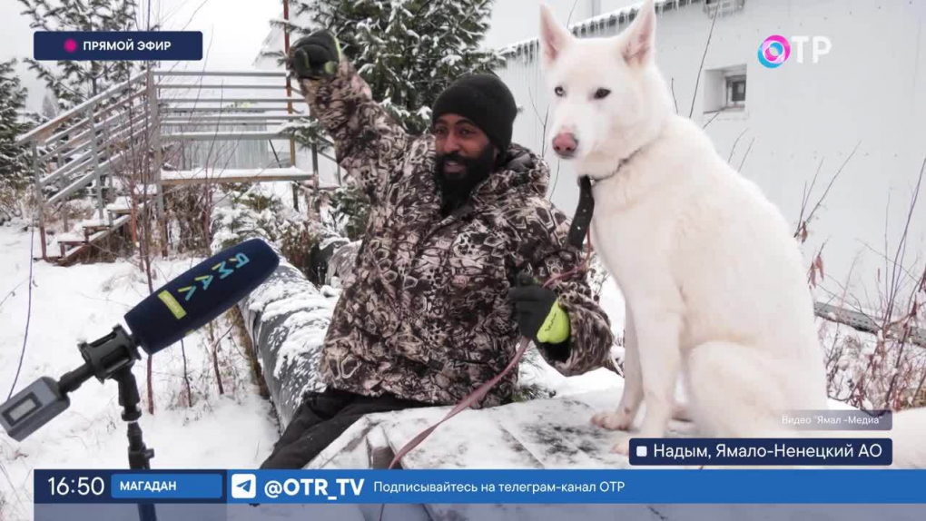 Программу ямал сегодня